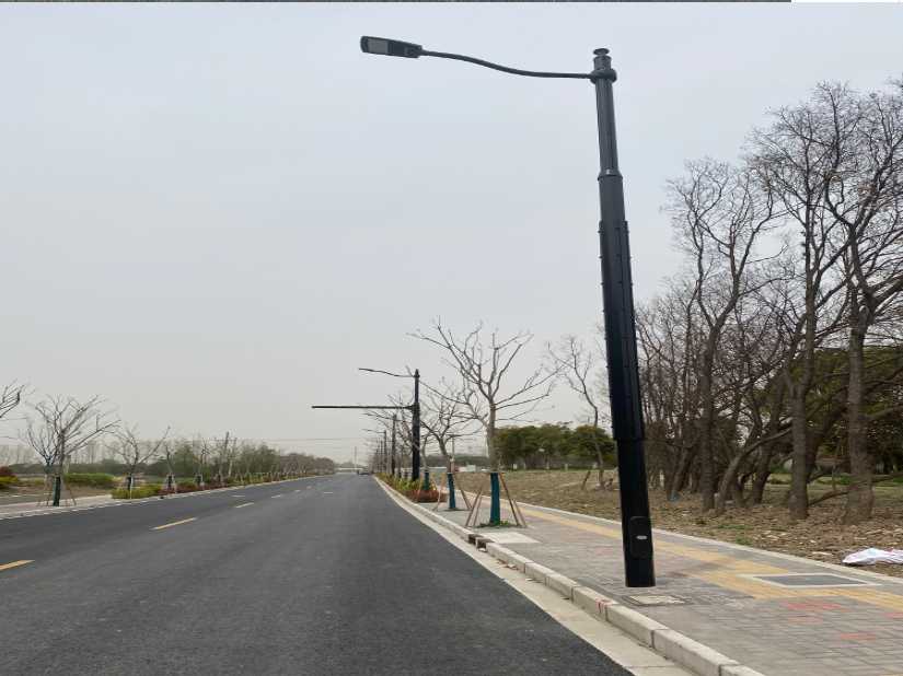 射洪市上海综合杆 太阳能路灯工程
