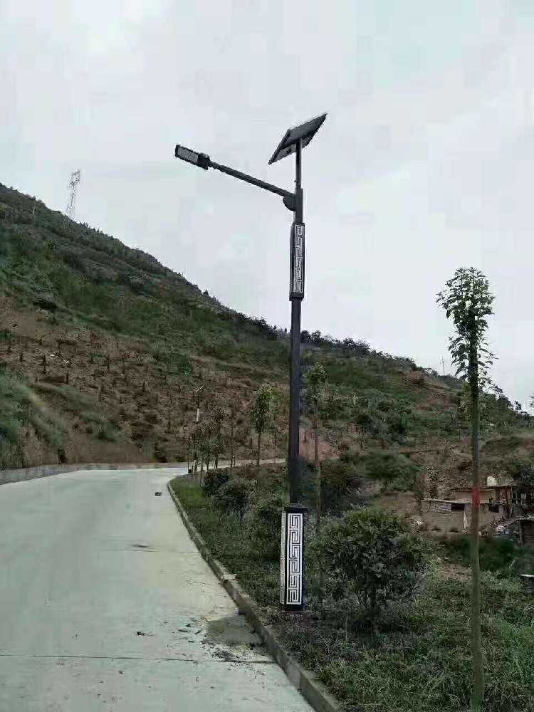 射洪市仿古太阳能路灯